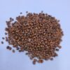 Singra Mongra | Sogari Seeds
