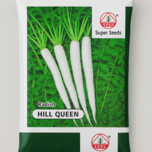 Radish Seeds ( Muli )