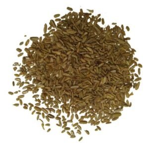 Carrot Seeds (Gajar)